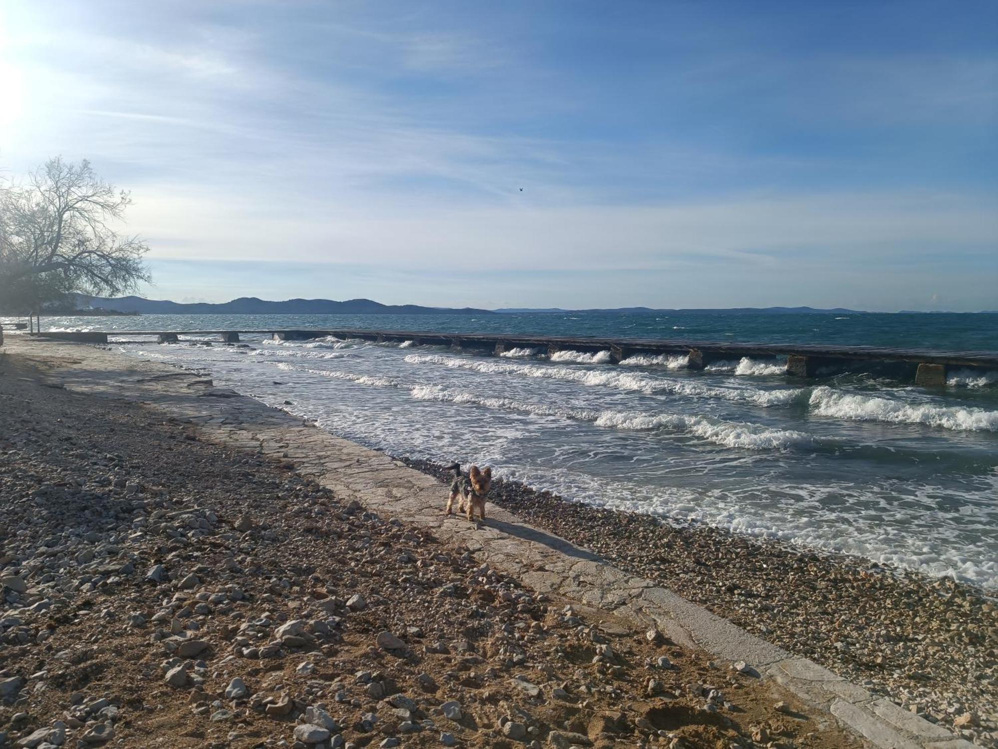 Zadar Beach Apartments Экстерьер фото