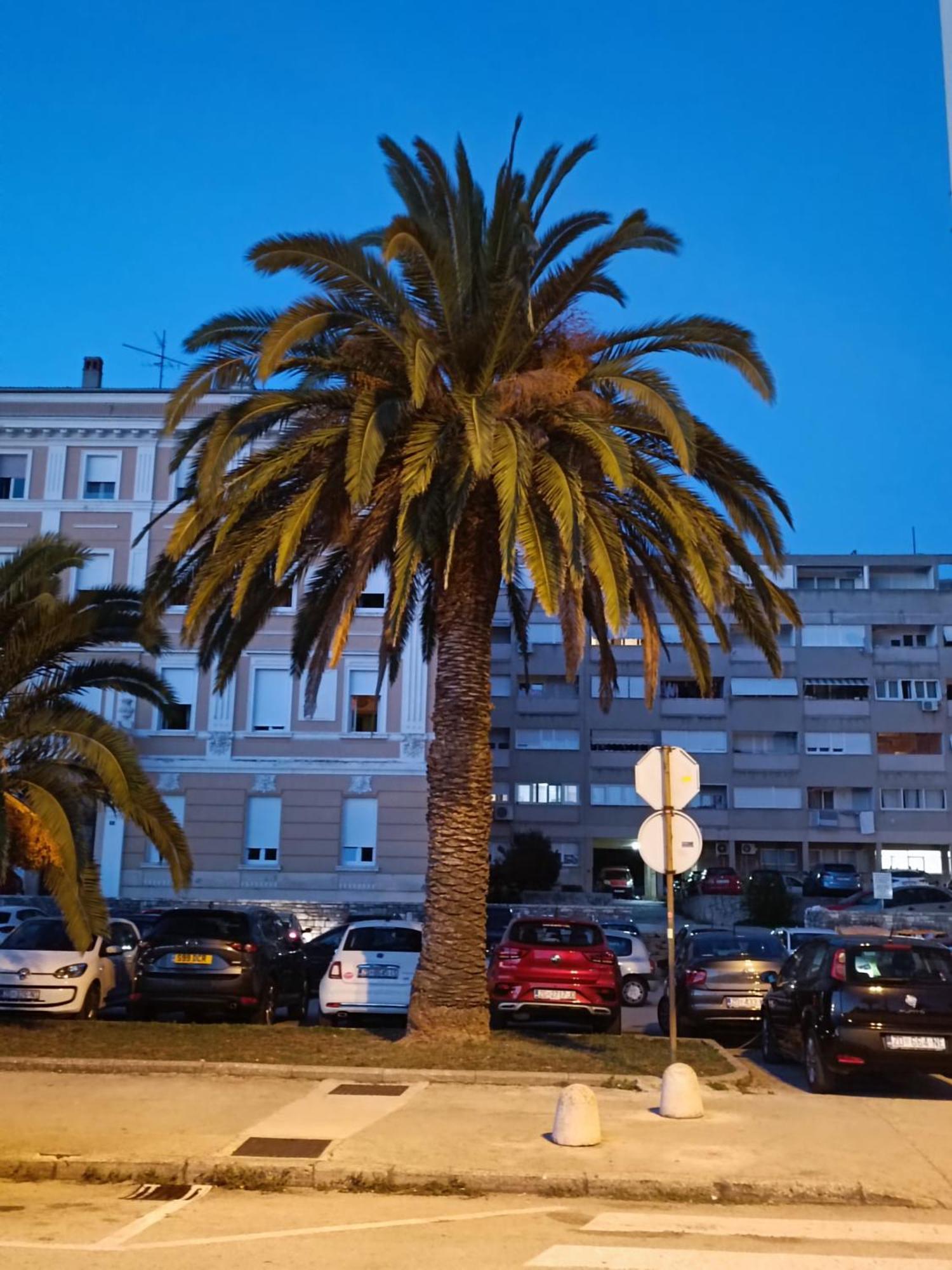 Zadar Beach Apartments Экстерьер фото